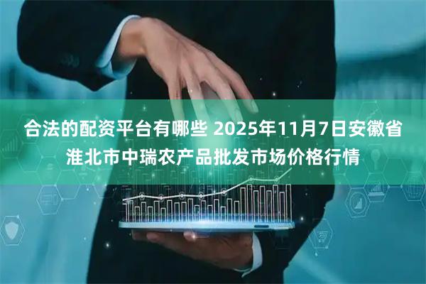 合法的配资平台有哪些 2025年11月7日安徽省淮北市中瑞农产品批发市场价格行情